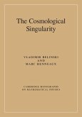 Cosmological Singularity (eBook, ePUB)