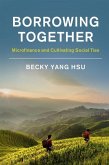 Borrowing Together (eBook, ePUB)