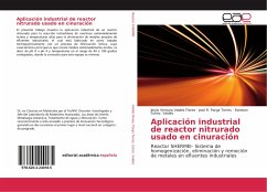 Aplicación industrial de reactor nitrurado usado en cinuración - Valdés Flores, Jesús Ventura;Parga Torres, José R.;Schez. Valdés, Esteban