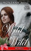 Wild Horses, Wild Hearts 2 (eBook, ePUB)