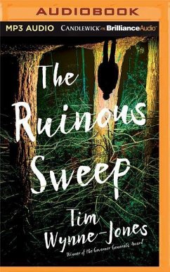 The Ruinous Sweep - Wynne-Jones, Tim