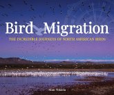 Bird Migration: The Incredible Journeys of North American Birds