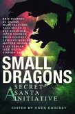 Small Dragons (eBook, ePUB)