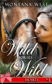 Wild Horses, Wild Hearts 3 (eBook, ePUB)