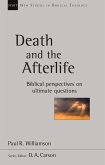 Death and the Afterlife (eBook, ePUB)
