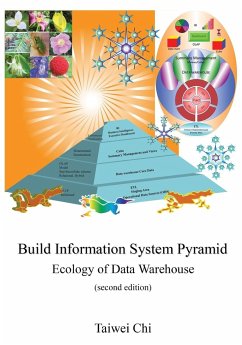 Build Information System Pyramid: Ecology of Data Warehouse Second Edition - Chi, Taiwei