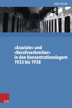 'Asoziale' und 'Berufsverbrecher' in den Konzentrationslagern 1933 bis 1938