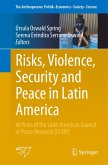 Risks, Violence, Security and Peace in Latin America