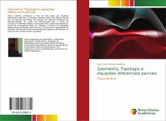 Geometria, Topologia e equações diferenciais parciais - Matute Calderon, Julio Cesar