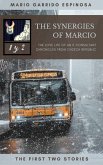 The synergies of Marcio (eBook, ePUB)