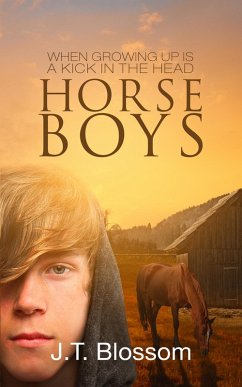 Cover Horse Boys (eBook, ePUB)