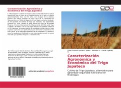 Caracterización Agronómica y Económica del Trigo Jupateco