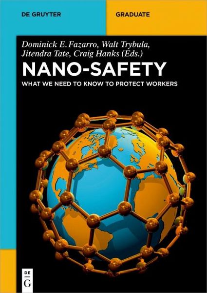 Nano-Safety (eBook, PDF) Nano-Safety (eBook, PDF)