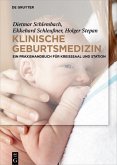 Klinische Geburtsmedizin (eBook, PDF)