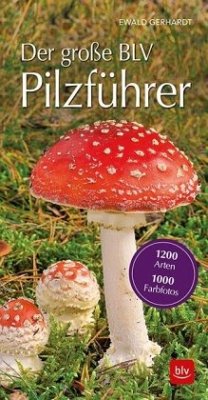 Cover Der große BLV Pilzführer für unterwegs