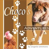 Choco's Adventures