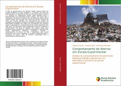 Comportamento de Aterros em Escala Experimental - Garcez, Lilyanne;Leite, Hosana;Monteiro, Veruschka