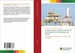 Conservação e Gerenciamento de Energia em Sistemas de Vapor - Silva, Andressa Carla Cintra;Silva, Karla