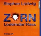 Zorn - Lodernder Hass / Hauptkommissar Claudius Zorn Bd.7 (1 Audio-CD)