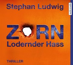 Zorn - Lodernder Hass / Hauptkommissar Claudius Zorn Bd.7 (1 Audio-CD) - Ludwig, Stephan