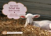 Das kleine Schaf Ida findet Freunde. Kamishibai Bildkartenset.