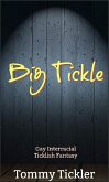 Big Tickle (eBook, ePUB)