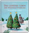 Das geheime Leben der Weihnachtsbäume - Bild 1
