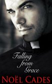 Falling From Grace (eBook, ePUB)