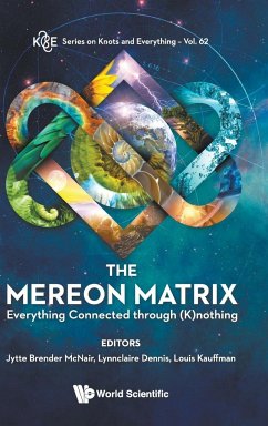 Mereon Matrix, The: Everything Connected Through (K)Nothing