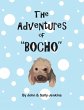 The Adventures of Bocho - Bild 1
