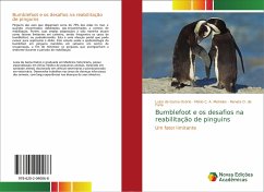 Bumblefoot e os desafios na reabilitação de pinguins