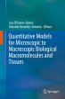 Quantitative Models for Microscopic to... - Bild 1