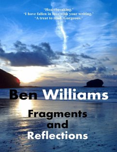 Fragments and Reflections (eBook, ePUB) - Williams, Ben