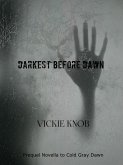 Darkest Before Dawn (Dawn Thriller Series) (eBook, ePUB) Darkest Before Dawn (Dawn Thriller Series) (eBook, ePUB)