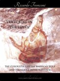 Venturing in &quote;The Vulva&quote; (eBook, ePUB)