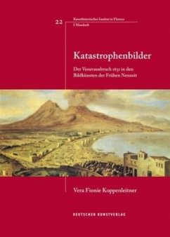 Katastrophenbilder - Koppenleitner, Vera F.