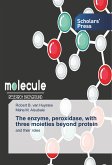 The enzyme, peroxidase, with three moieties beyond protein