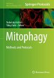 Mitophagy - Bild 1
