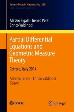 Partial Differential Equations and Geometric Measure Theory - Figalli, Alessio;Peral, Ireneo;Valdinoci, Enrico