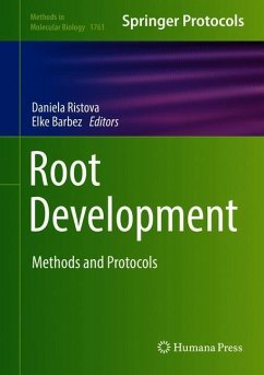 Root Development