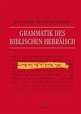 Grammatik des Biblischen Hebräisch (eBook, PDF)