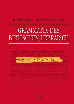 Grammatik des Biblischen Hebräisch (eBook, PDF) - Lettinga, Jan P.