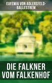 Die Falkner vom Falkenhof (eBook, ePUB)