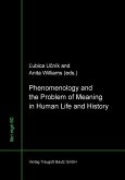 Phenomenology and the Problem of Meaning in Human Life and History (eBook, PDF)