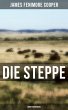 Die Steppe: Abenteuerroman (eBook, ePUB) - Bild 1