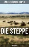 Die Steppe: Abenteuerroman (eBook, ePUB)