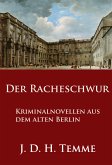 Der Racheschwur (eBook, ePUB)