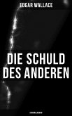 Die Schuld des Anderen: Kriminalroman (eBook, ePUB)