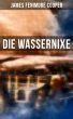 Die Wassernixe (eBook, ePUB) - Bild 1