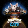 Star Trek: The Next Generation Cats... - Bild 1